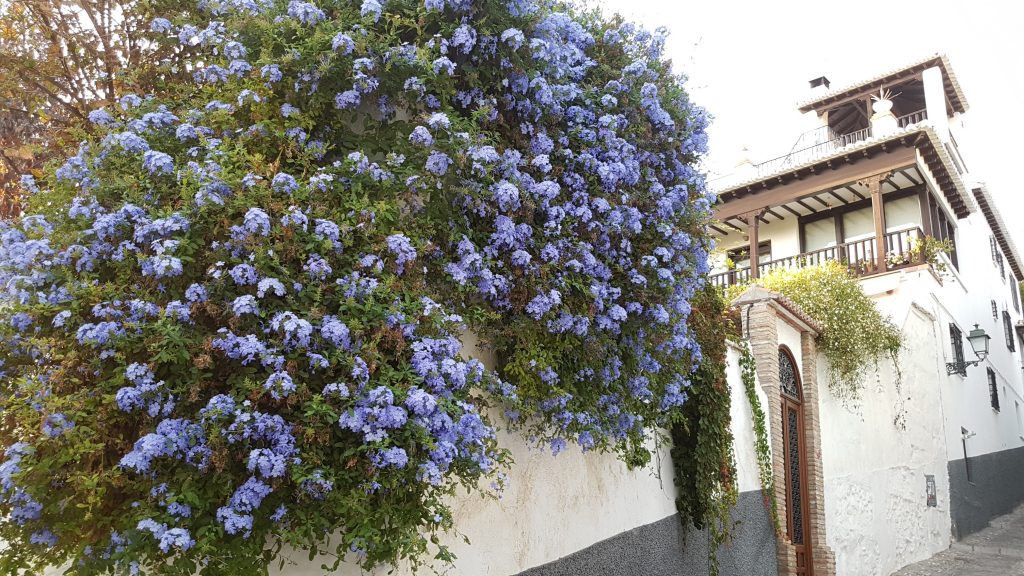 Albaicin, Granada